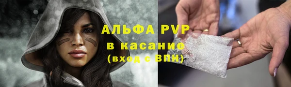 индика Абдулино