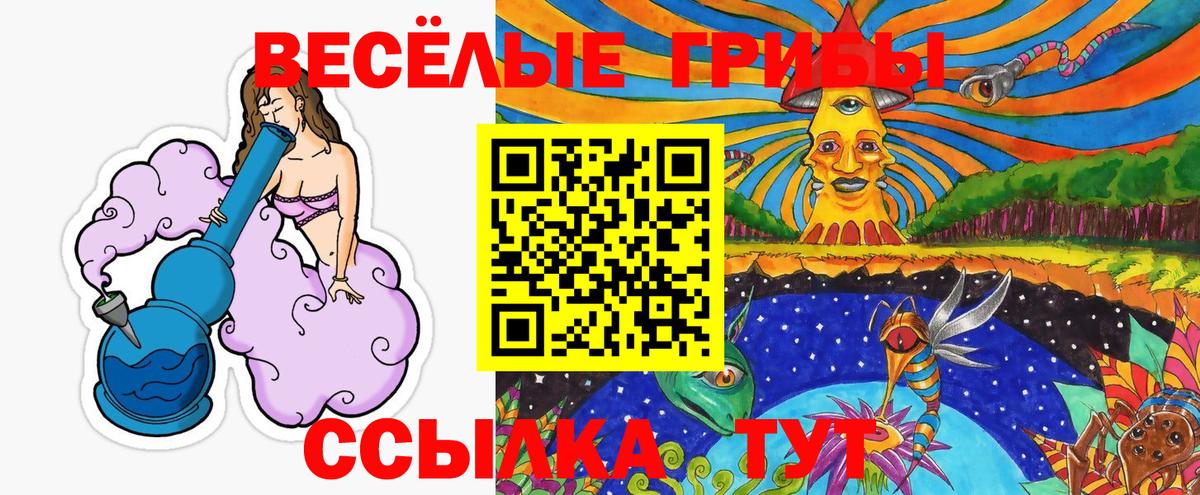 Галлюциногенные грибы Cubensis  Псилоцибиновые грибы Cubensis  где можно купить наркотик  Усть-Кут  Вход с VPN 